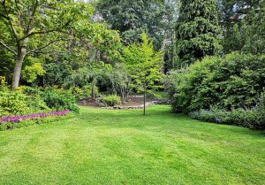 Optimiser l'expérience du jardin à Toutencourt